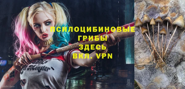 ALPHA-PVP Аркадак