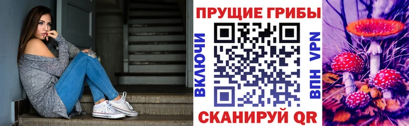 Псилоцибиновые грибы Psilocybe  Харовск 